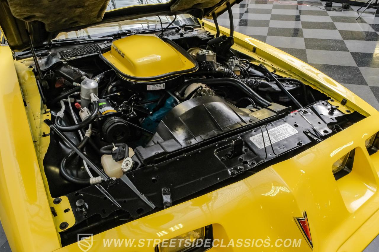 1979 Pontiac Firebird Trans Am