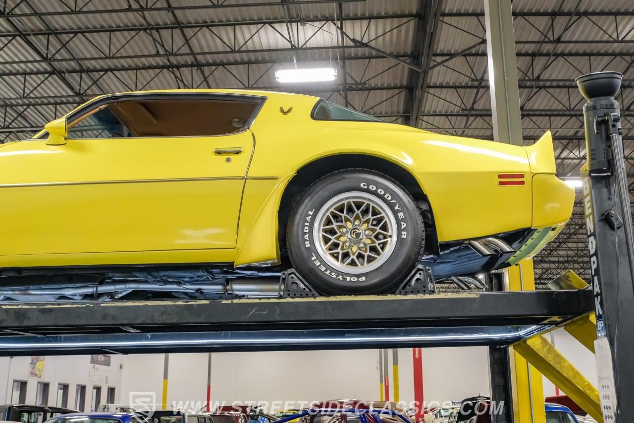 1979 Pontiac Firebird Trans Am