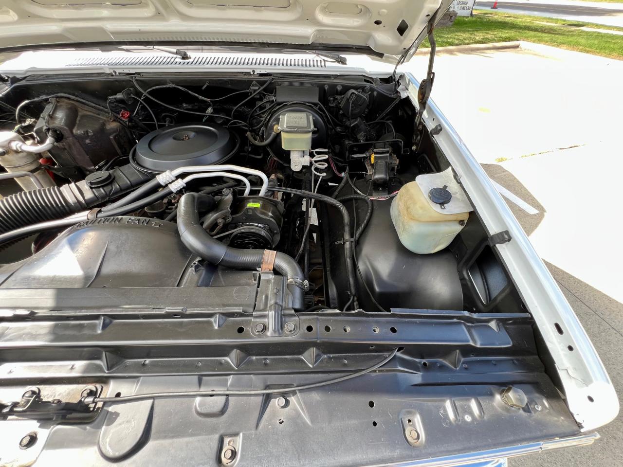 1986 Chevrolet C-10