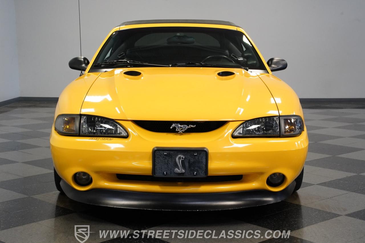 1998 Ford Mustang Cobra SVT Convertible