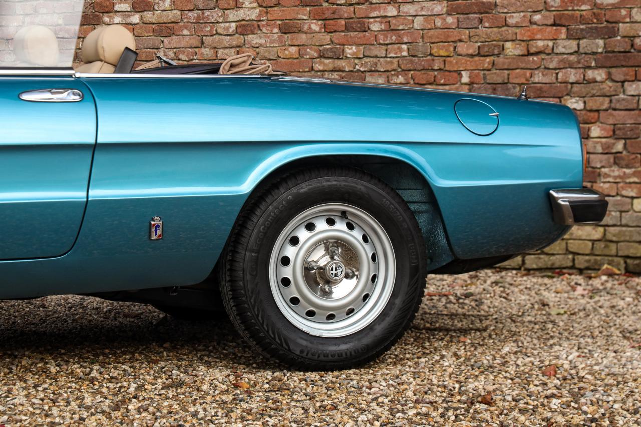 1981 Alfa Romeo Spider 2000 Coda Tronca &ldquo;Most Beautiful Blue&rdquo;