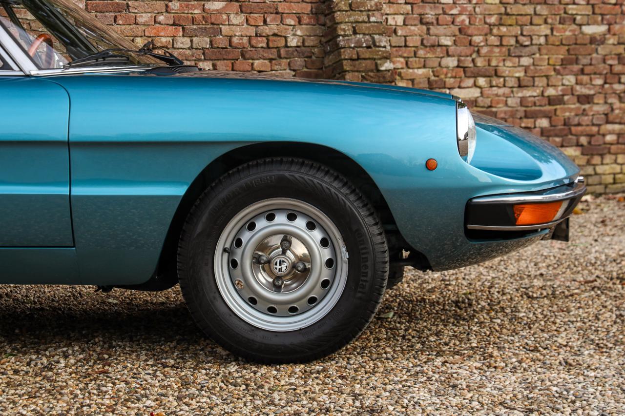 1981 Alfa Romeo Spider 2000 Coda Tronca &ldquo;Most Beautiful Blue&rdquo;