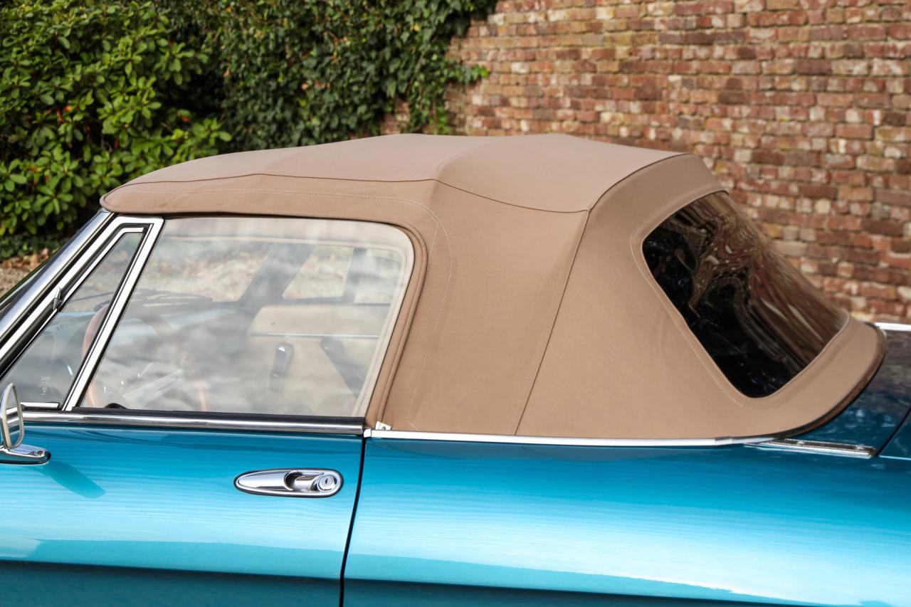 1981 Alfa Romeo Spider 2000 Coda Tronca &ldquo;Most Beautiful Blue&rdquo;