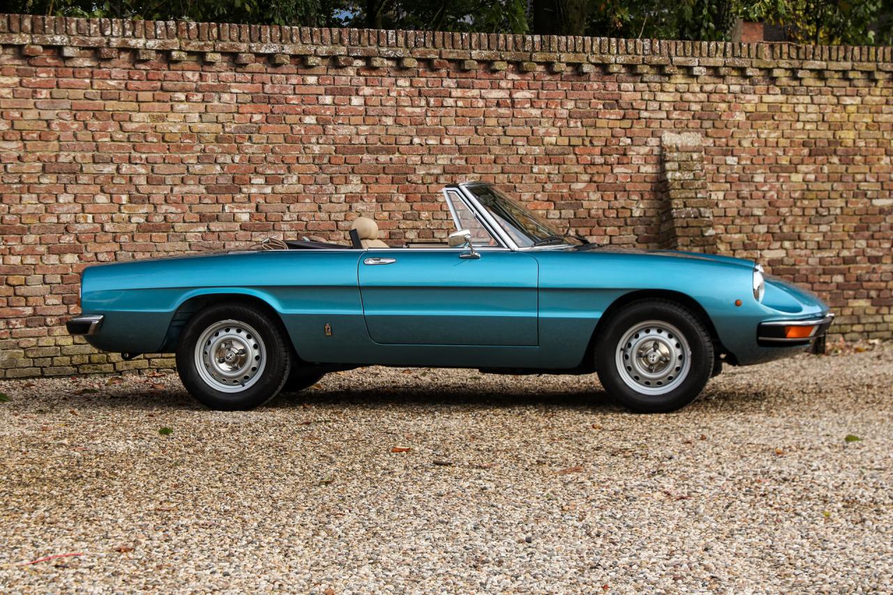 1981 Alfa Romeo Spider 2000 Coda Tronca &ldquo;Most Beautiful Blue&rdquo;