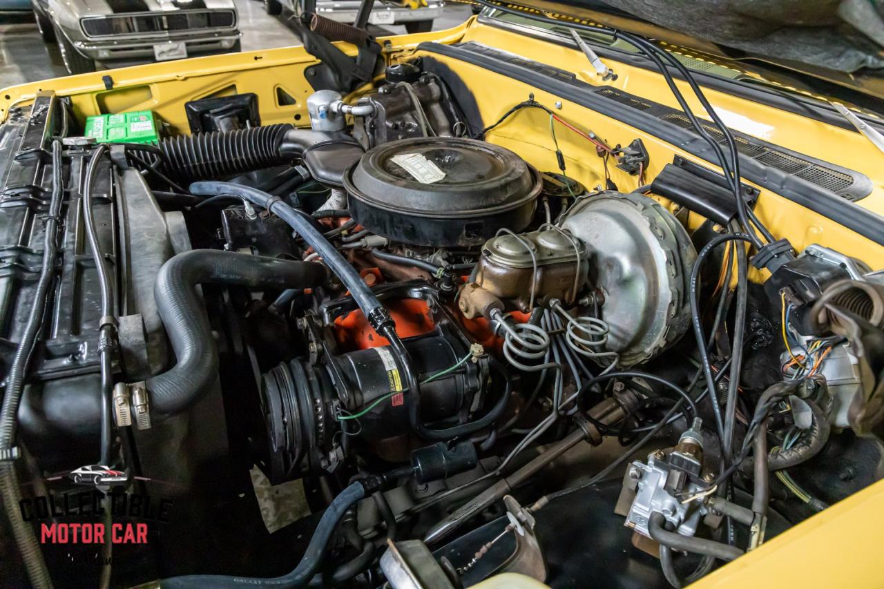 1977 Chevrolet C20