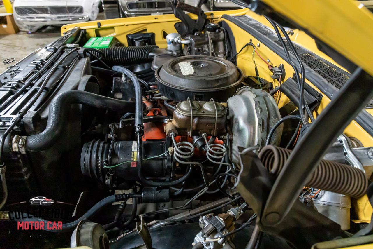 1977 Chevrolet C20