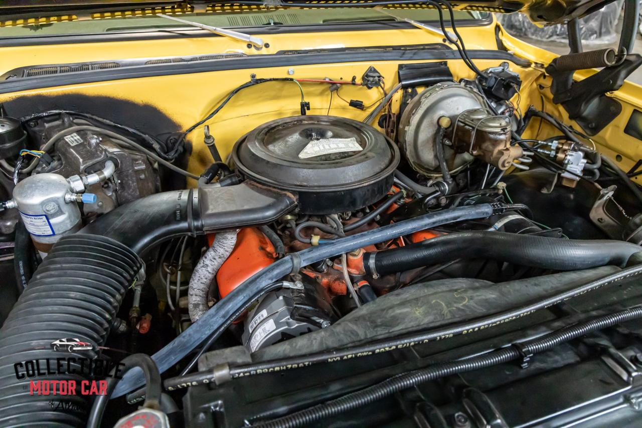 1977 Chevrolet C20