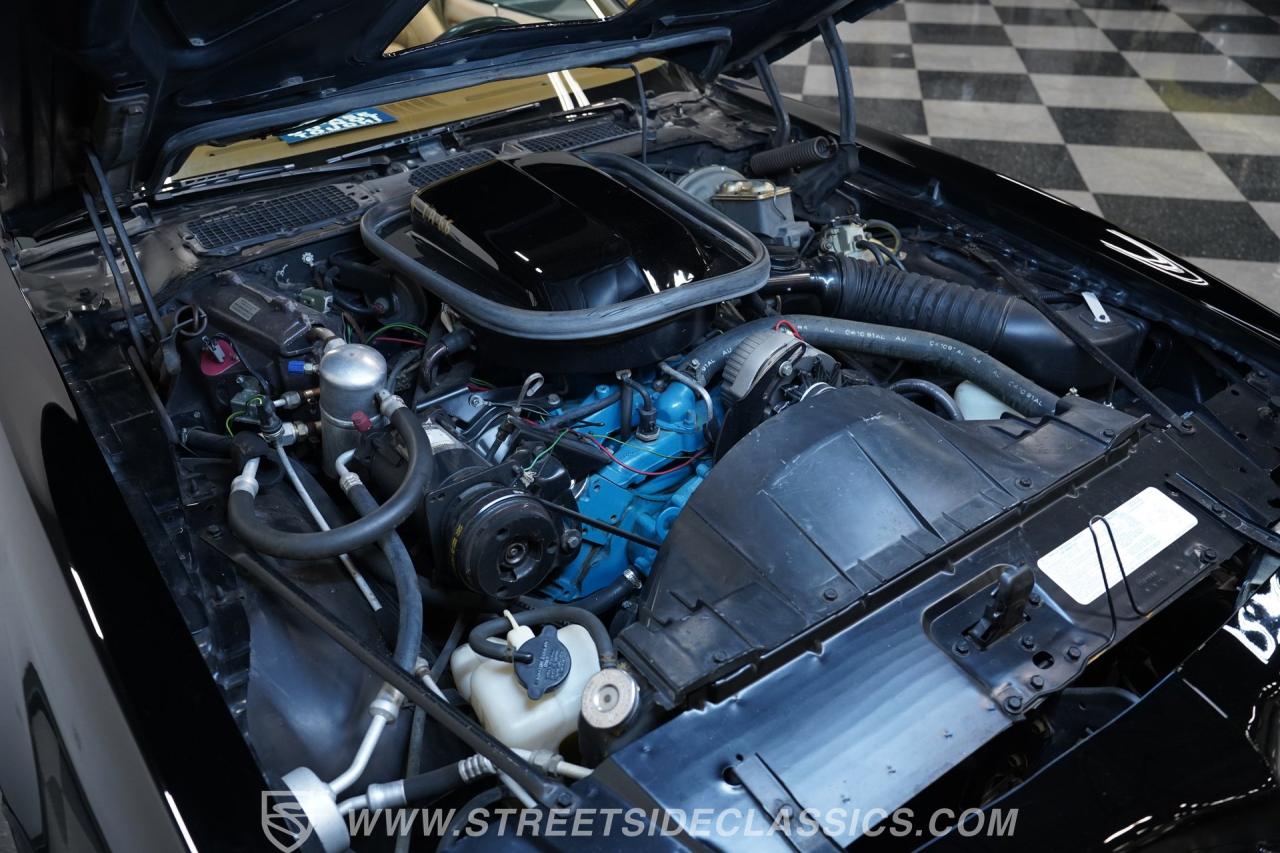 1977 Pontiac Firebird Trans Am Y82 Special Edition