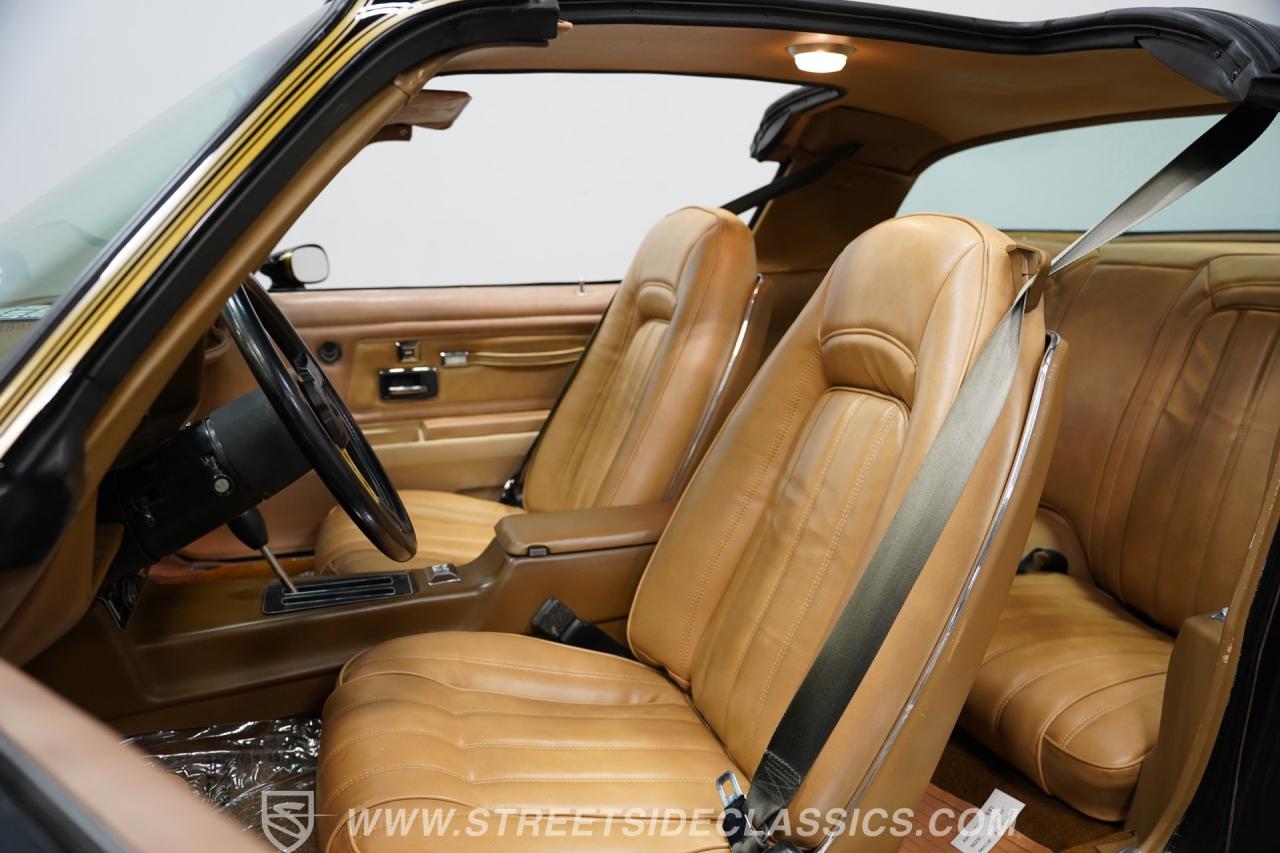 1977 Pontiac Firebird Trans Am Y82 Special Edition
