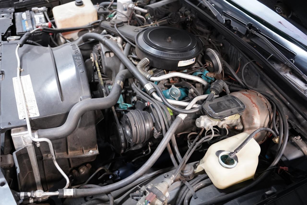 1981 Chevrolet Monte Carlo