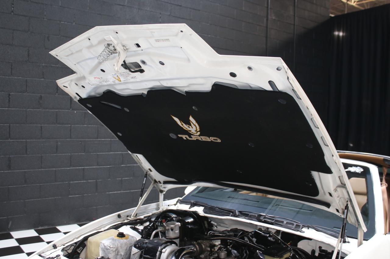 1989 Pontiac Firebird