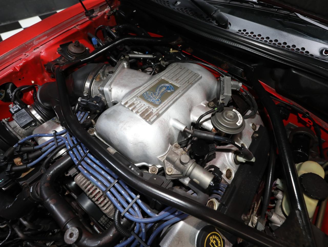 1997 Ford Mustang SVT Cobra