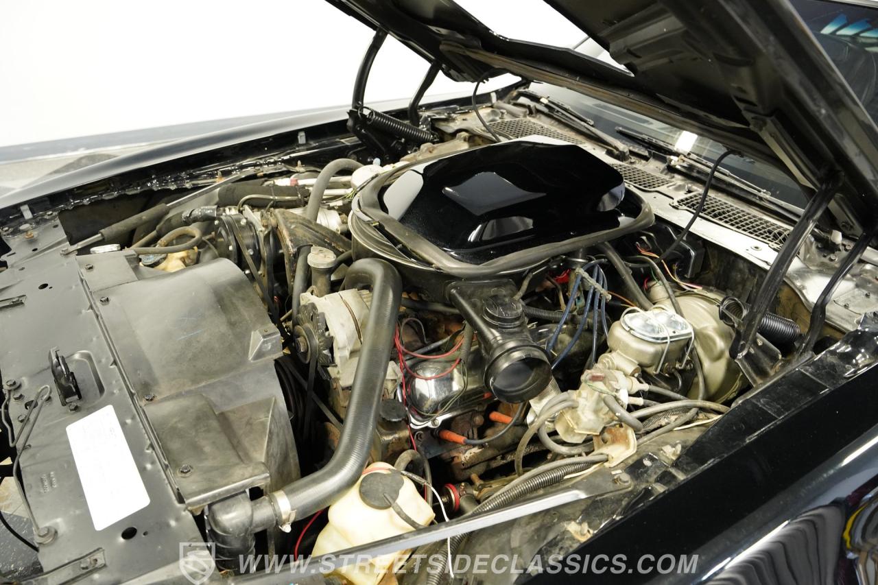 1979 Pontiac Firebird Trans Am Y84 Special Edition