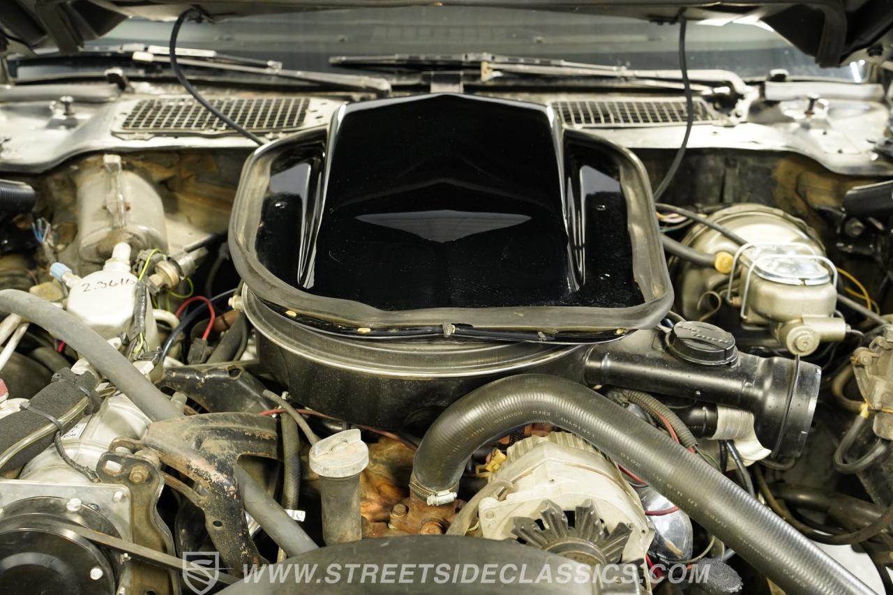 1979 Pontiac Firebird Trans Am Y84 Special Edition