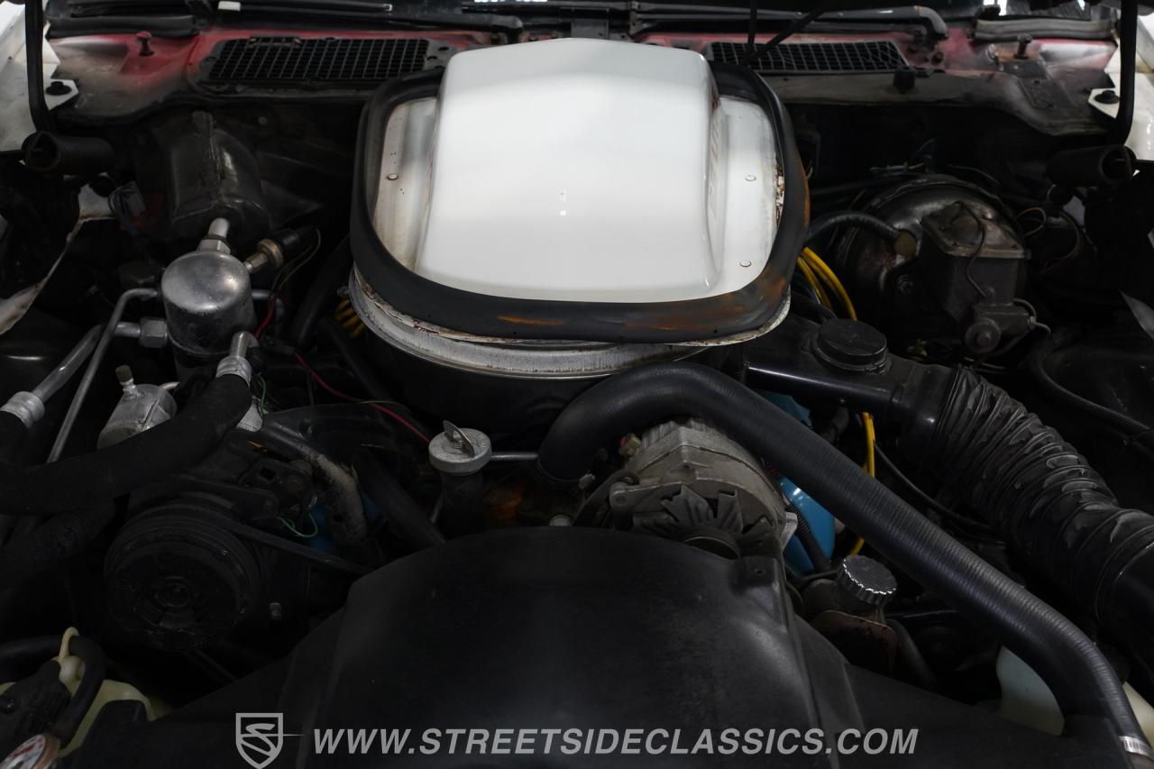 1979 Pontiac Firebird Trans Am
