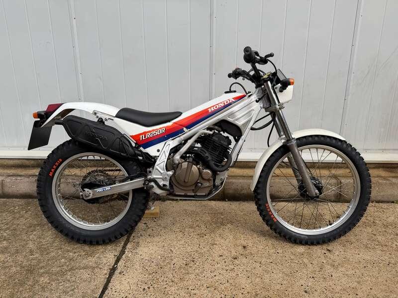 1986 Honda TLR250