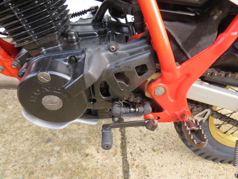 1983 Honda TLR200