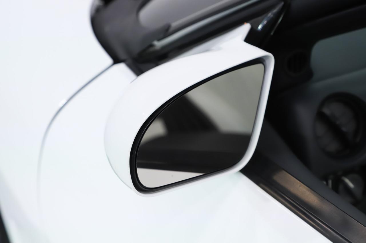 1999 Pontiac Trans Am 30th Anniversary