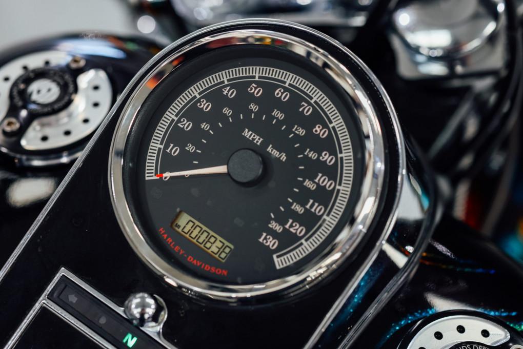2015 Harley Davidson Softail