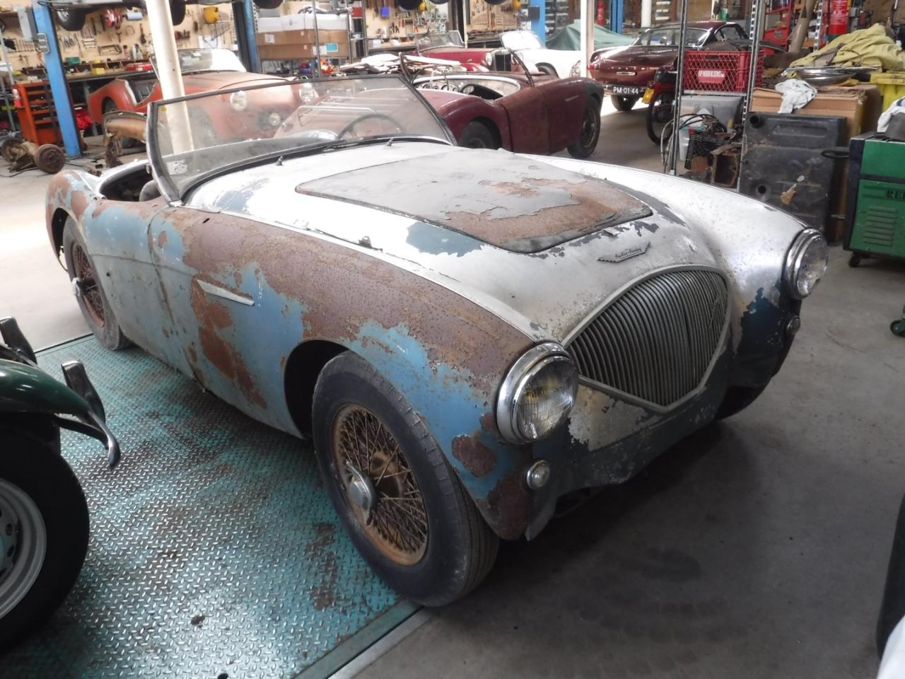 1955 Austin - Healey 100/4 blue to restore