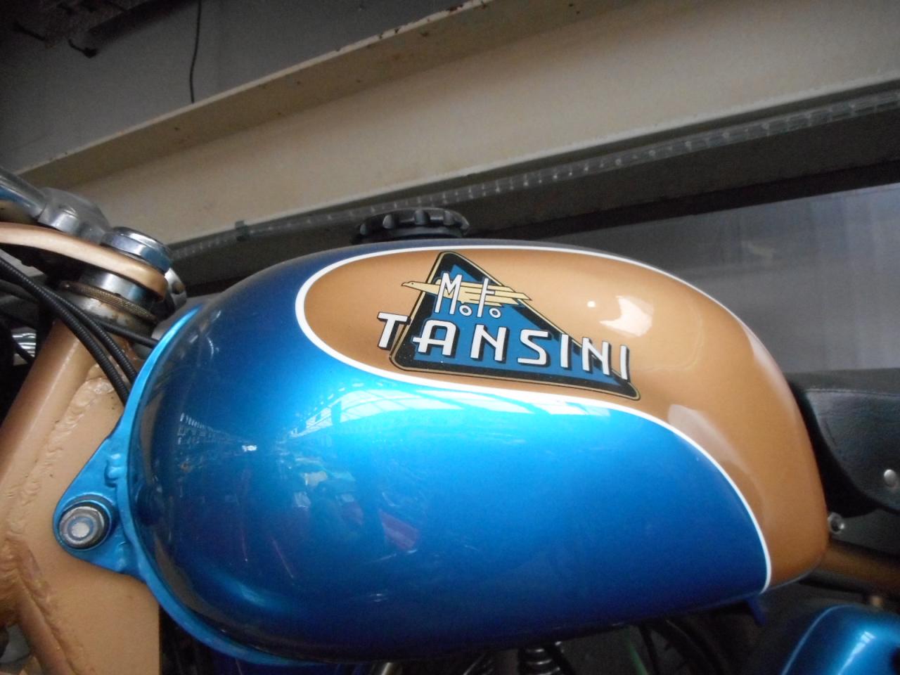 1955 Moto Tansini Grillo Export 4V