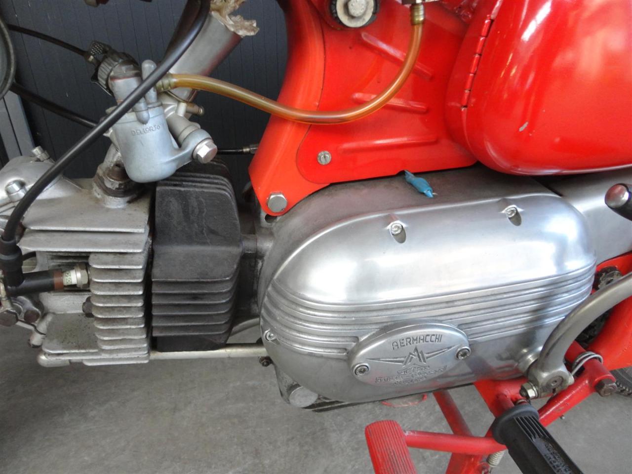 1964 Aermacchi Aermacchi Ala Verde