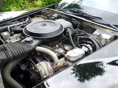 1979 Chevrolet Corvette