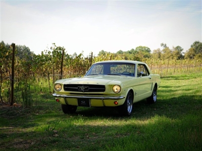 1965 Ford Mustang 289 V8