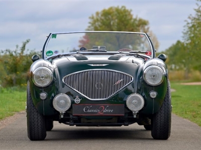 1954 Austin Healey 100 M BN1- Le Mans
