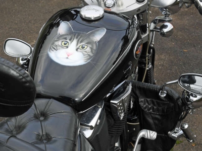 2004 Victory Tricycle and Trailer