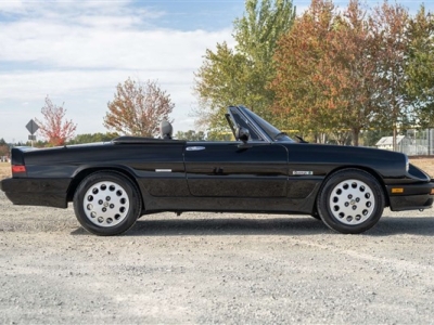 1989 Alfa Romeo Spider Quadrifoglio