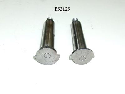 2x F53125 / BAR143 shackle pin front - front spring