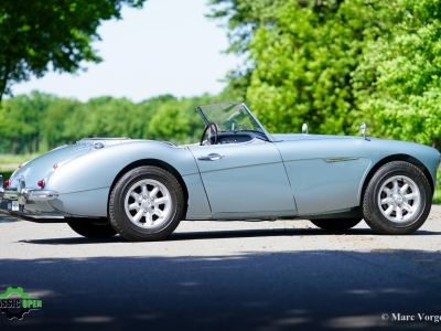 Austin Healey 100/6