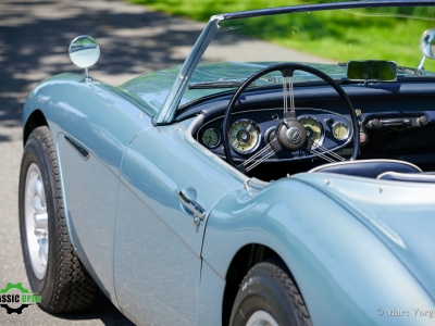 Austin Healey 100/6
