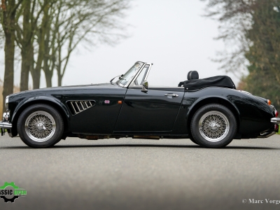 Austin Healey Mk4 V8 by HMC