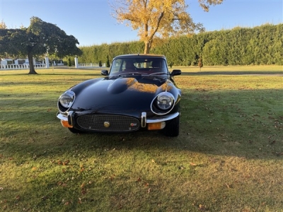 Beacham Jaguar Coupe