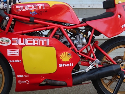 Ducati TT2 Race Replica