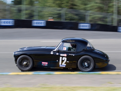 1961 AUSTIN HEALEY 3000 MK1 FIA Specs GTS12