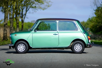 Classic Mini Special 1100
