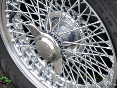 Unique Morgan Plus 4 Sport