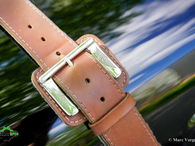 Morgan Plus 8 3.9 injection 1992, low milage