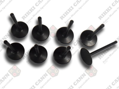 Inlet+Exhaust Valves