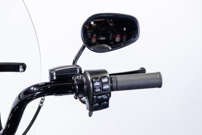 2021 Harley Davidson Roadking Special 114