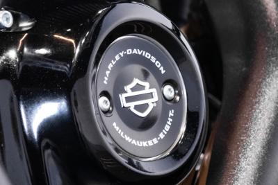 2021 Harley Davidson Roadking Special 114