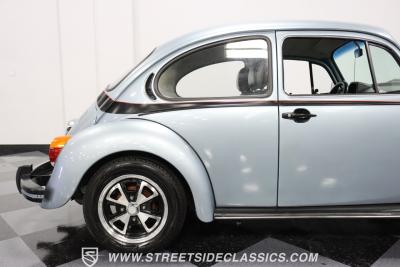 1973 Volkswagen Beetle Sports Bug