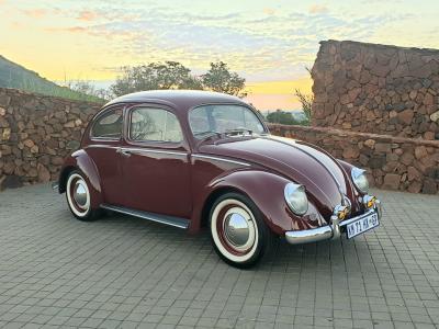 1953 Volkswagen Beetle Zwitter