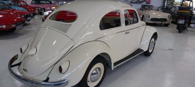1956 Volkswagen Beetle Oval