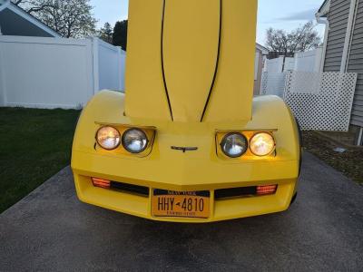 1981 Chevrolet Corvette Coupe For Sale