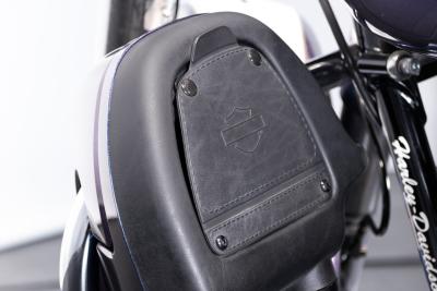 2010 Harley Davidson Electra Glide