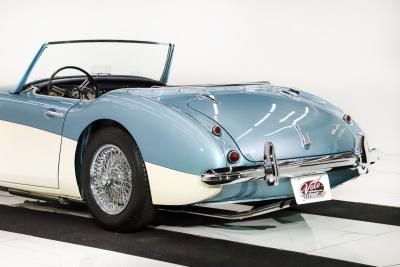 1959 Austin - Healey 3000